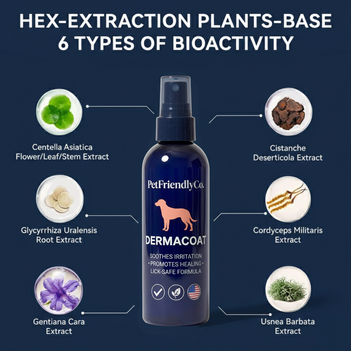 DermaCoat Skin Relief Spray